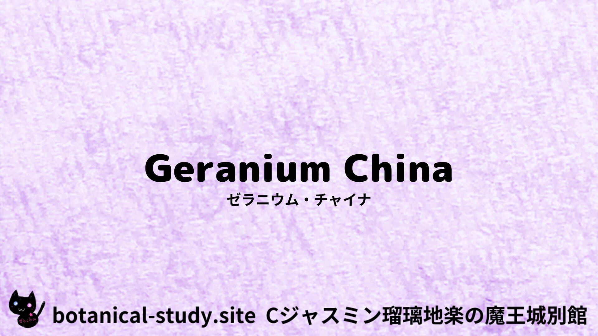 geranium-china-ゼラニウム・チャイナ/アイキャッチ＠botanical-study.site