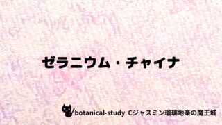 ゼラニウム・チャイナ：プチ辞典クイズ