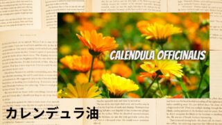 Calendula Oil:Mini Dictionary カレンデュラ油