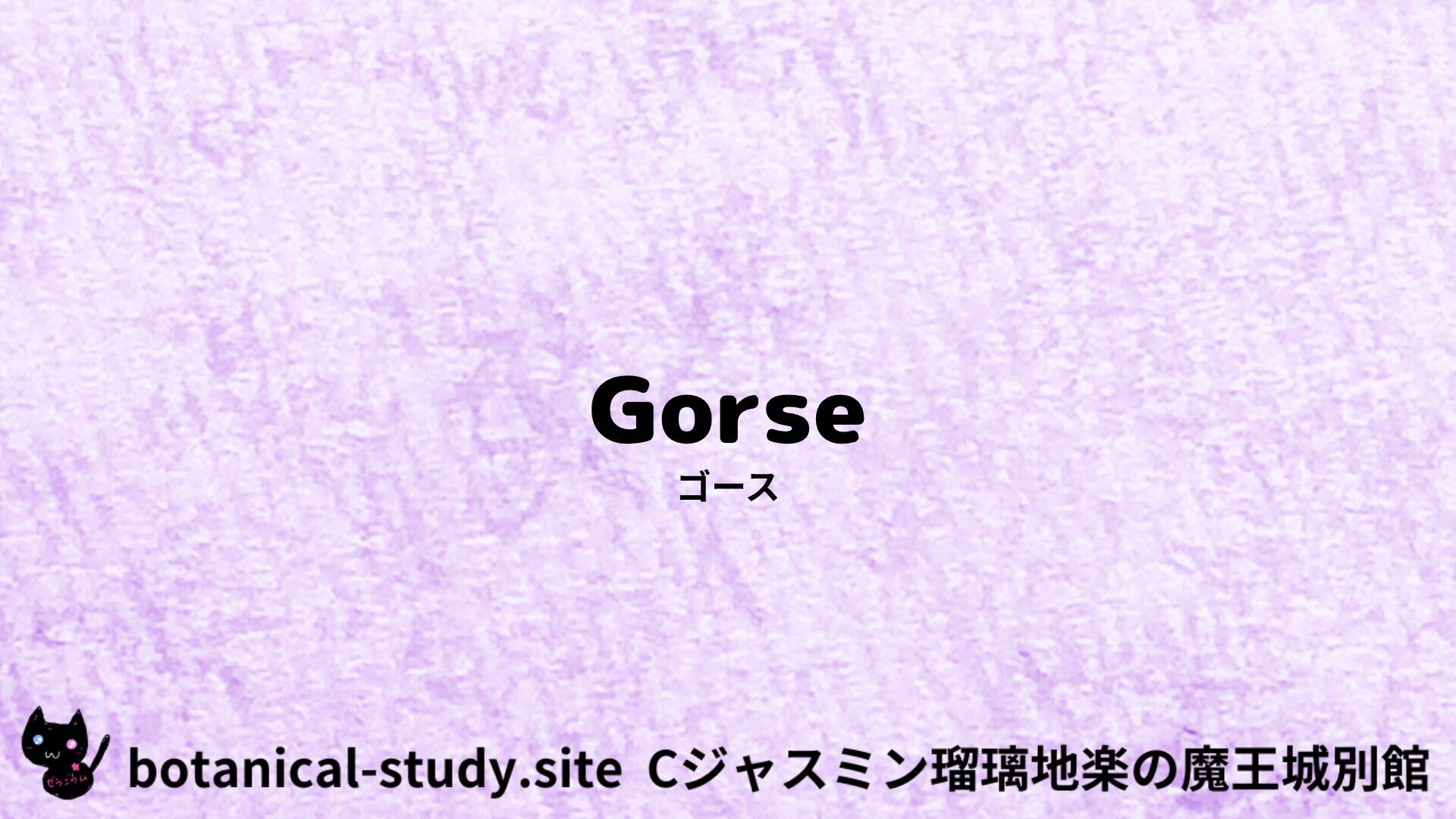 【別館】gorse-ゴース/フラワーエッセンス/アイキャッチ＠botanical-study.site