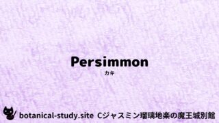 Persimmon:Mini Dictionary Quiz カキ