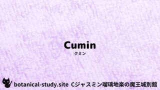Cumin:Mini Dictionary Quiz クミン
