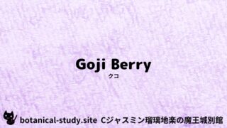 Goji Berry：Mini Dictionary Quiz　クコ