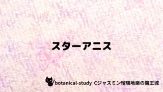 スターアニス：プチ辞典クイズ