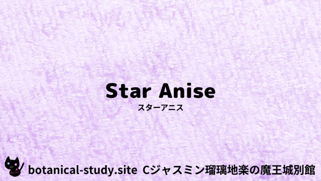【別館】star-anise-スターアニス/ハーブ/アイキャッチ＠botanical-study.site