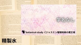 精製水：プチ辞典