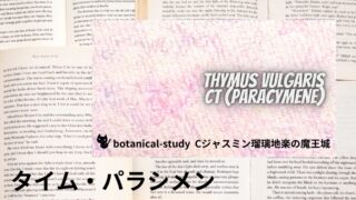 タイム・パラシメン:プチ辞典