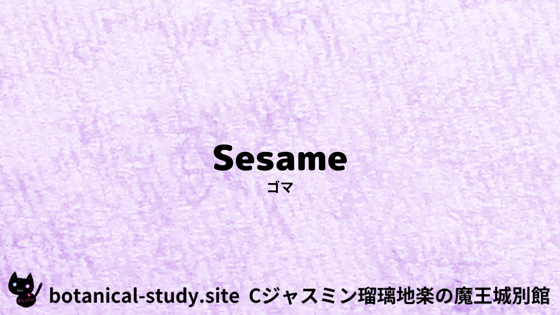 Sesame：Mini Dictionary Quiz　ゴマ