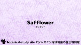 Safflower：Mini Dictionary Quiz　サフラワー