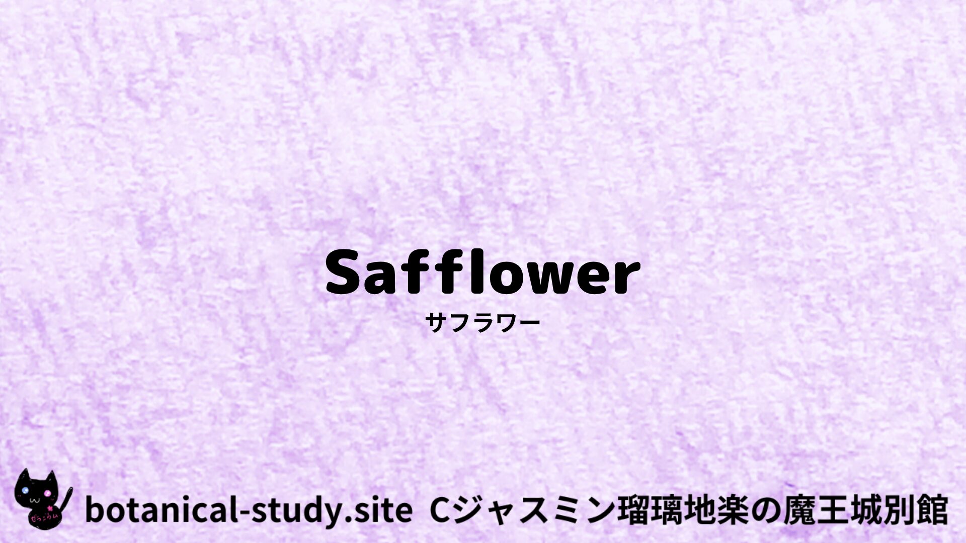 【別館】safflower-サフラワー/ハーブ/アイキャッチ＠botanical-study.site