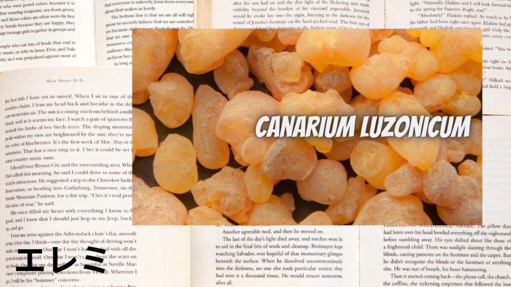 【別館画像】 elemi-エレミ/アイキャッチ＠botanical-study.site