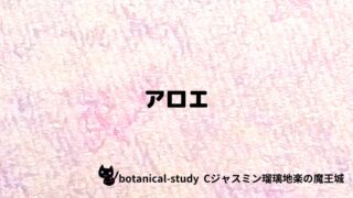 アロエ：プチ辞典クイズ