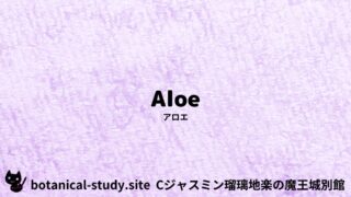 Aloe：Mini Dictionary Quiz　アロエ