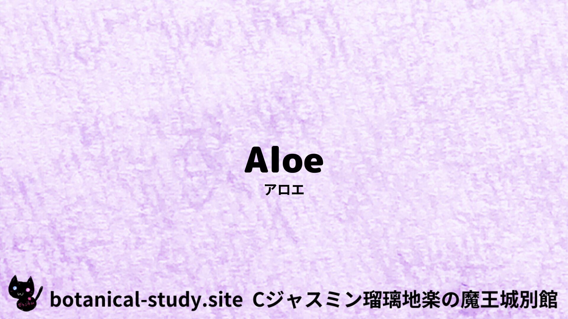 【別館】aloe-vera-angustifolia-アロエ/ハーブ/アイキャッチ＠botanical-study.site