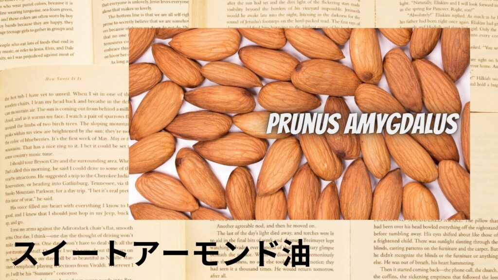 【別館画像】sweet-almond-oil-スイートアーモンド油/アイキャッチ＠botanical-study.site