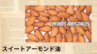 Sweet almond oil：Mini Dictionary　スイートアーモンド油