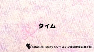 タイム：プチ辞典クイズ