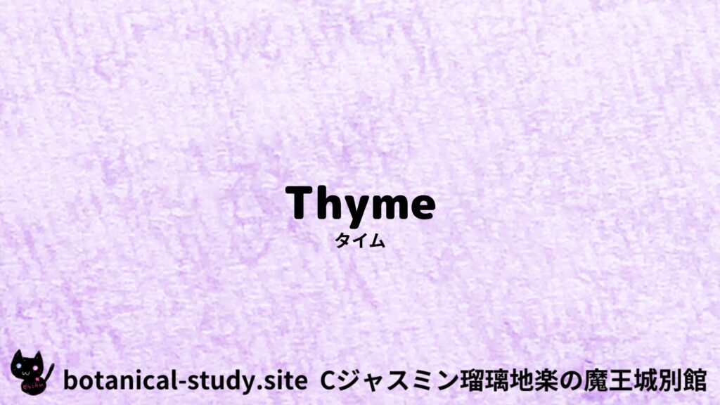 thyme-タイム/ハーブ/アイキャッチ＠botanical-study.site