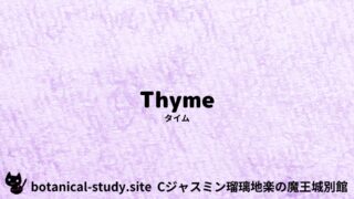 Thyme：Mini Dictionary Quiz　タイム