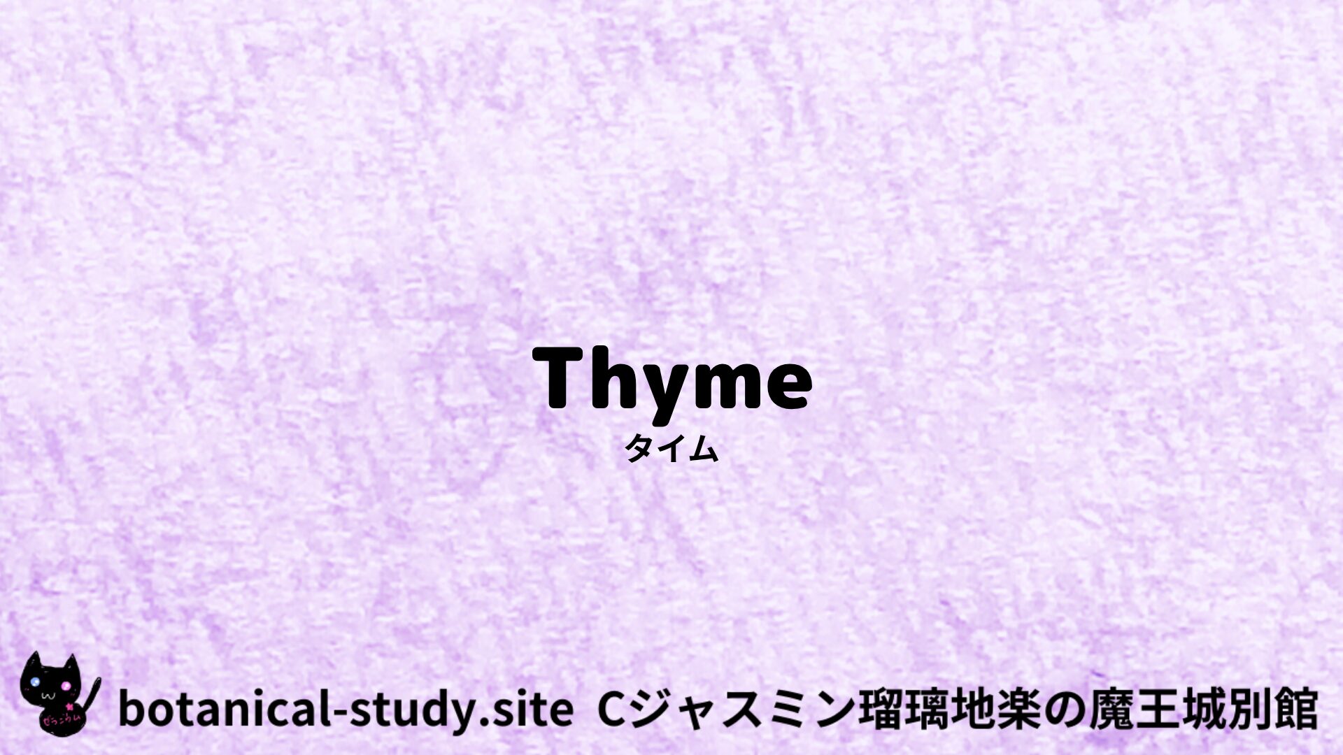 thyme-タイム/ハーブ/アイキャッチ＠botanical-study.site