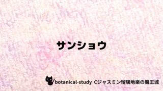 サンショウ：プチ辞典クイズ