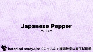 Japanese Pepper：Mini Dictionary Quiz　サンショウ
