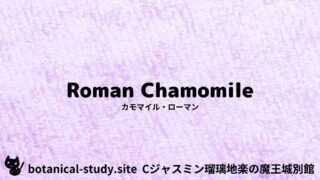 Roman Chamomile:Mini Dictionary Quiz カモマイル・ローマン