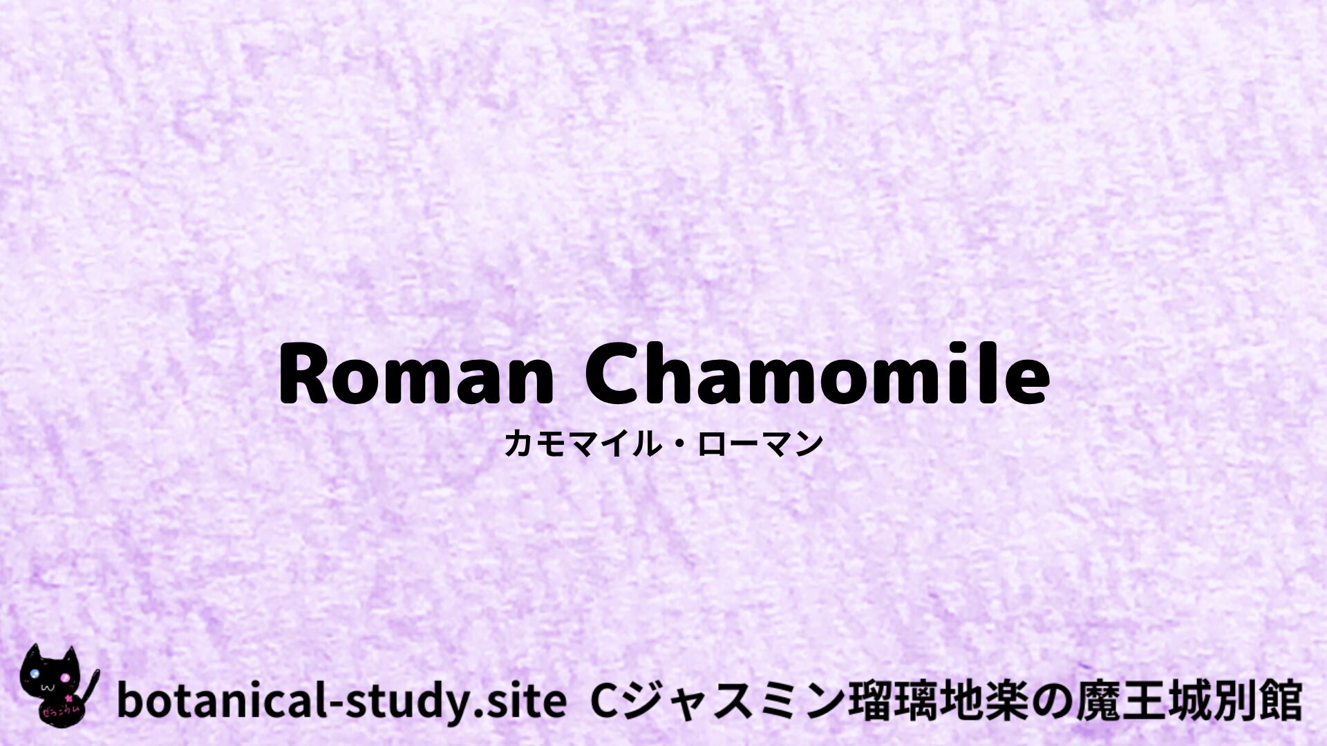 【別館】chamomile-roman-カモマイル・ローマン/ハーブ/アイキャッチ@botanical-study.site