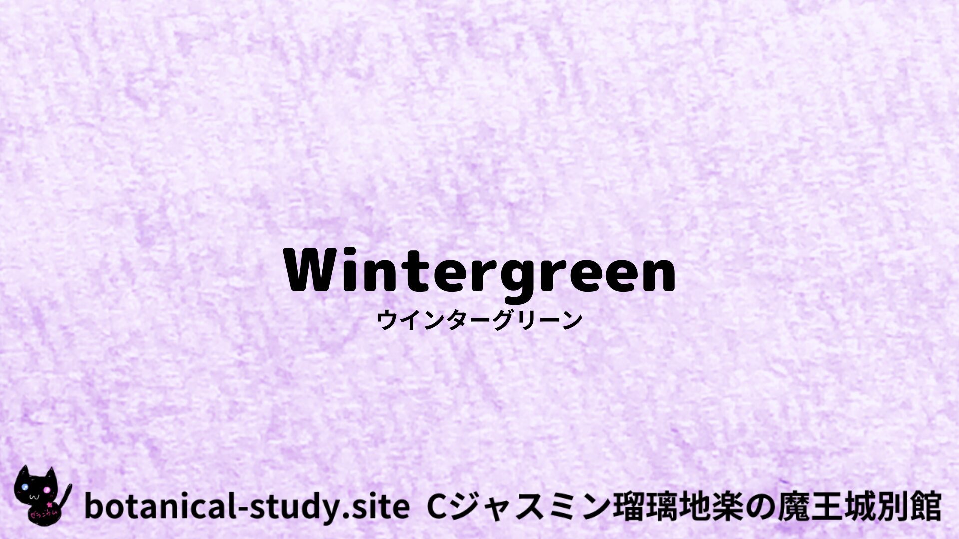 【別館】wintergreen-ウインターグリーン/アイキャッチ＠botanical-study.site
