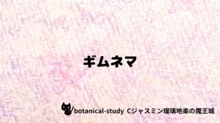 ギムネマ：プチ辞典クイズ