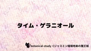 タイム・ゲラニオール：プチ辞典クイズ