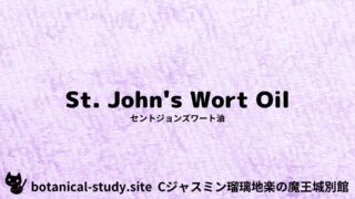 St. John’s Wort Oil:Mini Dictionary Quiz セントジョンズワート油