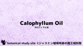 Calophyllum Oil:Mini Dictionary Quiz カロフィラム油