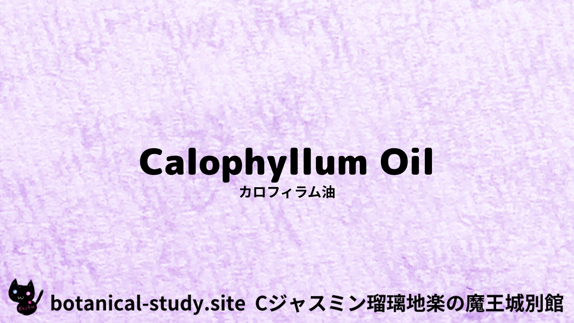 【別館】calophyllum-oil-カロフィラム油/アイキャッチ＠botanical-study.site