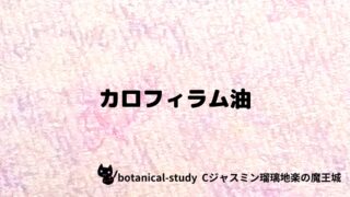 カロフィラム油:プチ辞典クイズ
