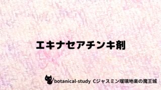 エキナセアチンキ剤:プチ辞典クイズ