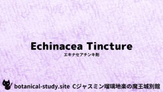 Echinacea Tincture:Mini Dictionary Quiz エキナセアチンキ剤