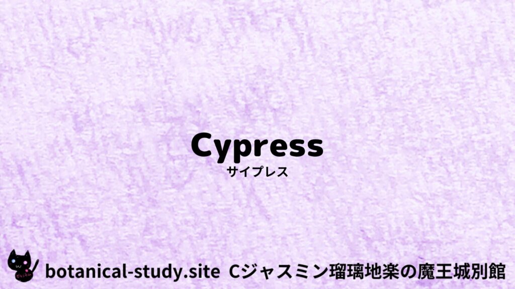 【別館】cypress-サイプレス/アイキャッチ＠botanical-study.site