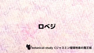 ロべジ：プチ辞典クイズ