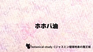 ホホバ油：プチ辞典クイズ