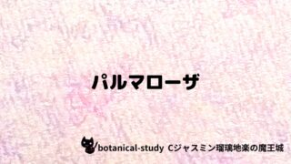 パルマローザ：プチ辞典クイズ