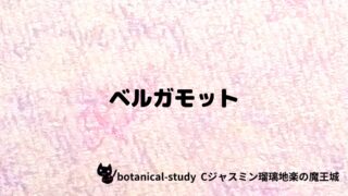 ベルガモット:プチ辞典クイズ