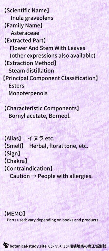【別館辞典】inula-イヌラinula-angustifolia-イヌラとCジャスミン瑠璃地楽のアロマハーブプチ辞典＠botanical-study.site