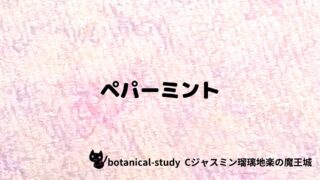 ペパーミント：プチ辞典