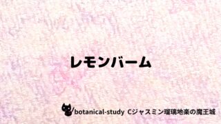 レモンバーム：プチ辞典クイズ