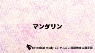 マンダリン：プチ辞典クイズ