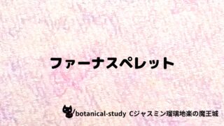 ファーナスペレット：プチ辞典クイズ
