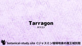 Tarragon：Mini Dictionary Quiz　タラゴン