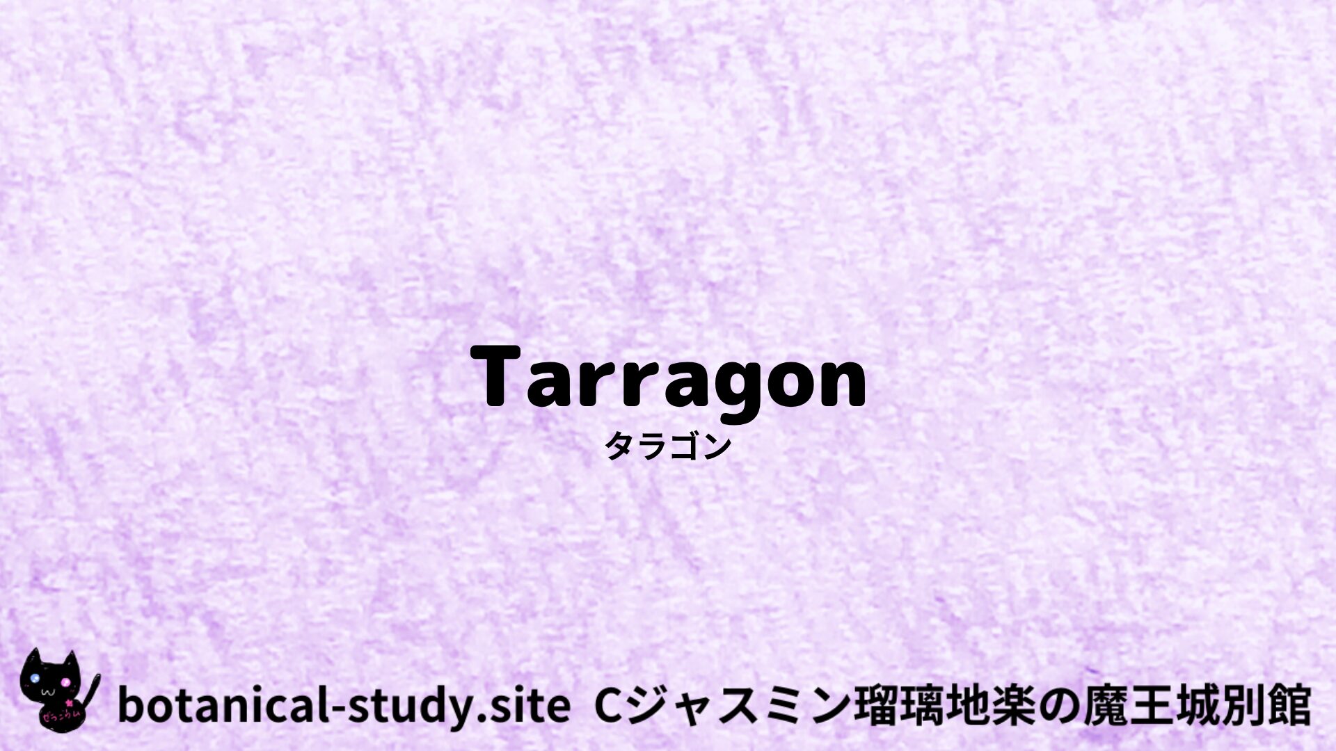 【別館】tarragon-タラゴン/ハーブ/アイキャッチ＠botanical-study.site