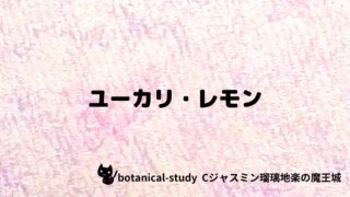 ユーカリ・レモン：プチ辞典クイズ